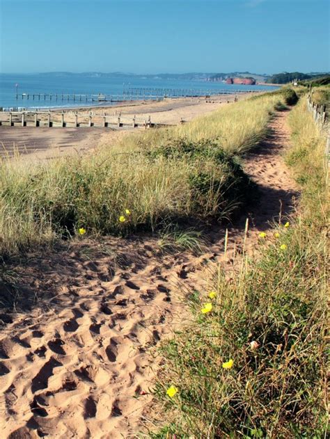 beach walk|best coastal walks near me.